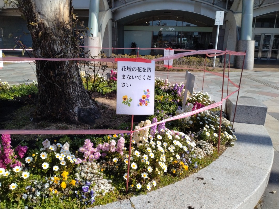 行橋駅前花壇